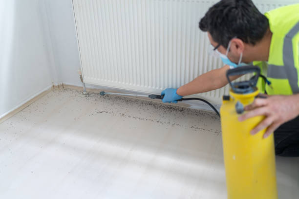 Best Best Pest Control Companies  in Lake Orion, MI