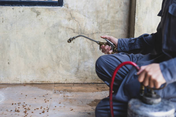 Pest Control for Restaurants in Lake Orion, MI